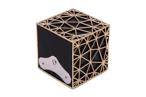 Watch Winder - Voronoi-3-Watch Box Studio